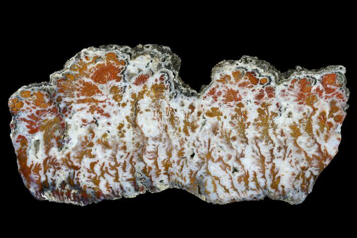 Wingate Pass Plume Agate Slab - California #184799